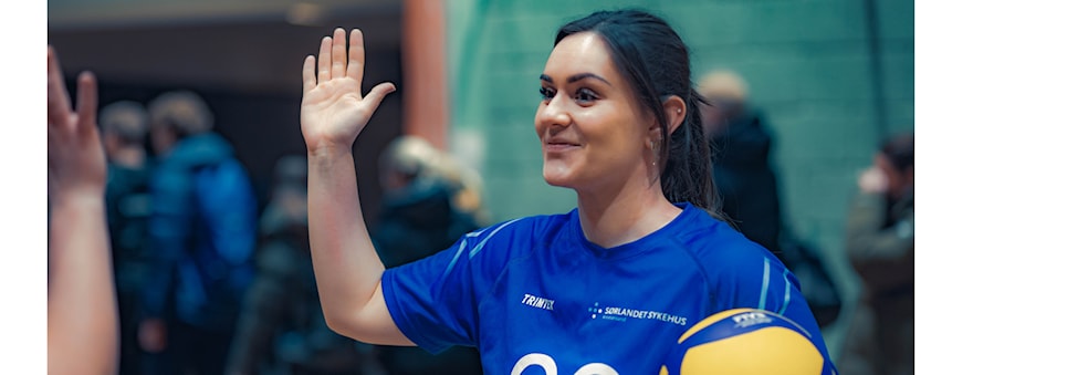 Volleyballserien